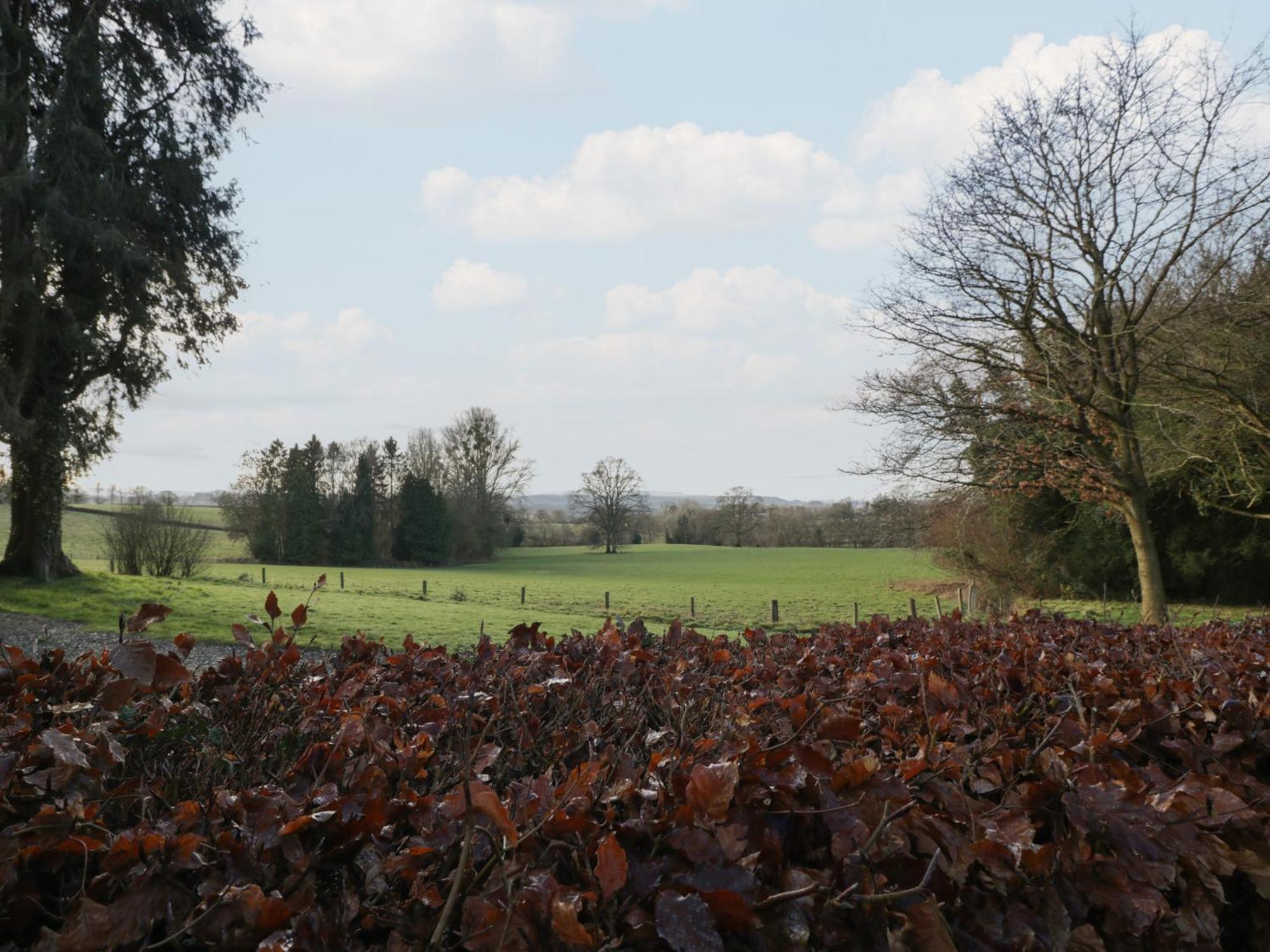 Woodlands Cottage Leominster Εξωτερικό φωτογραφία