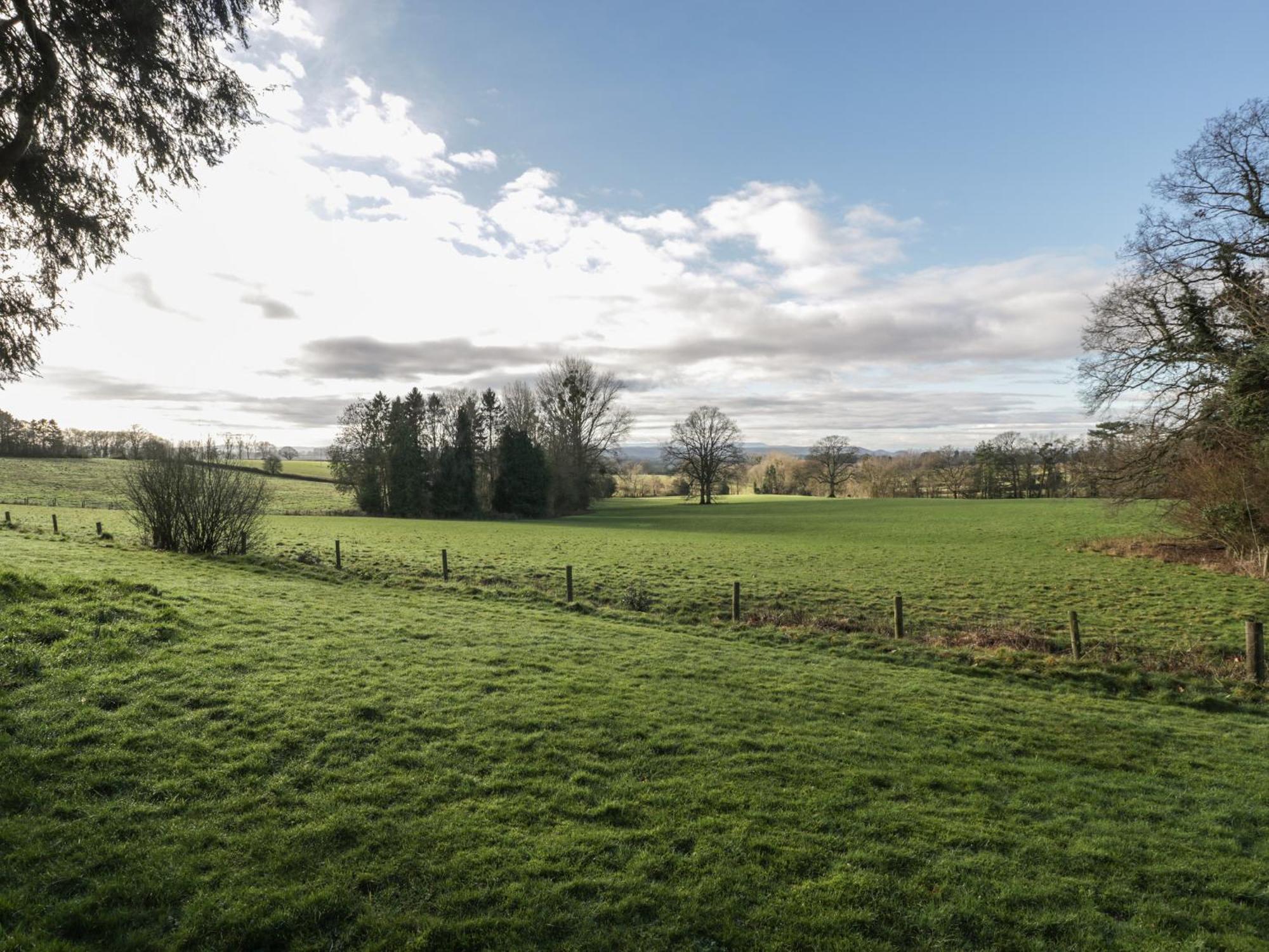 Woodlands Cottage Leominster Εξωτερικό φωτογραφία