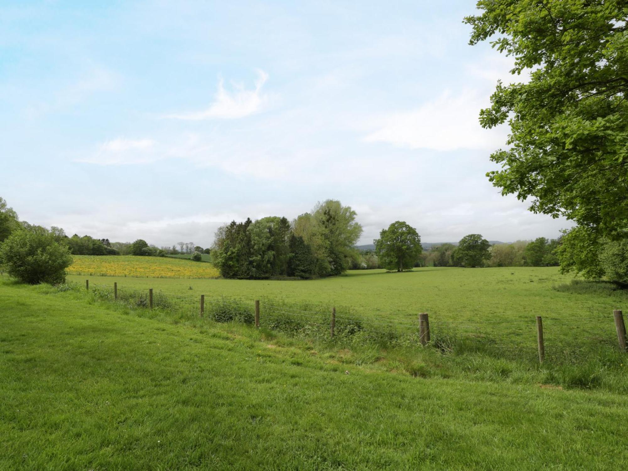 Woodlands Cottage Leominster Εξωτερικό φωτογραφία